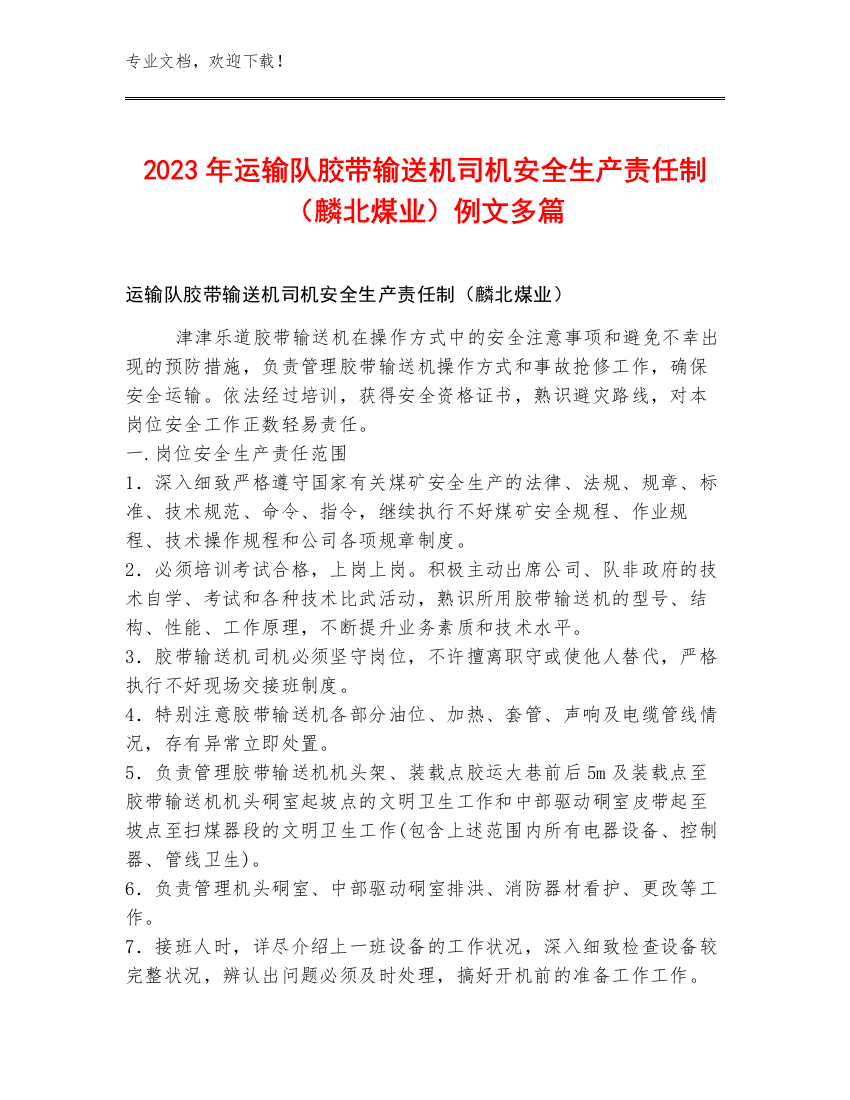 2023年运输队胶带输送机司机安全生产责任制（麟北煤业）例文多篇