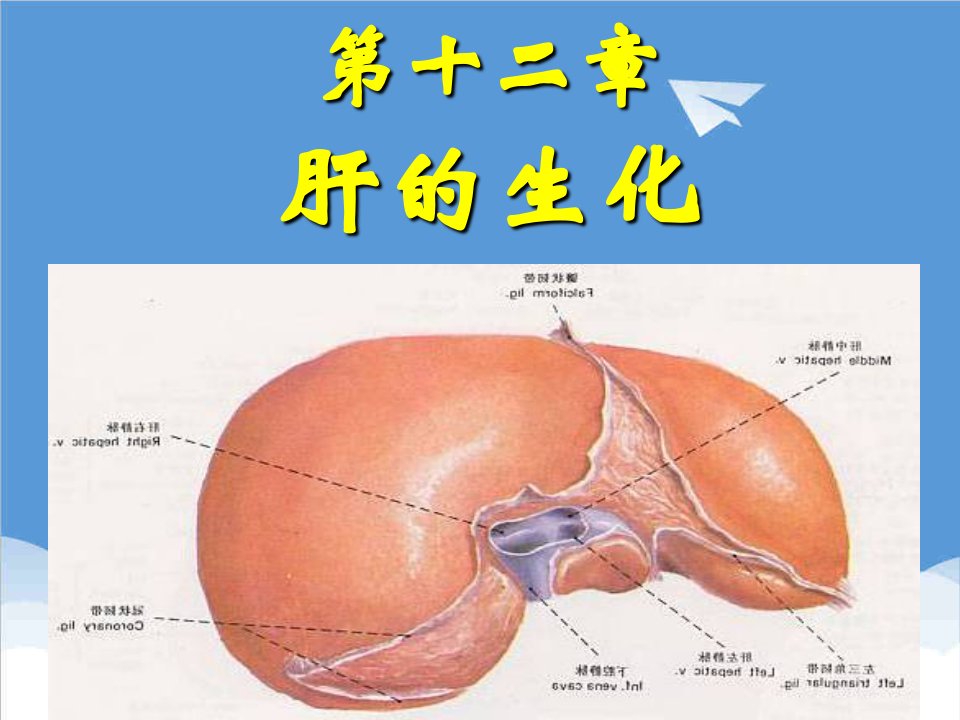 推荐-肝胆生化