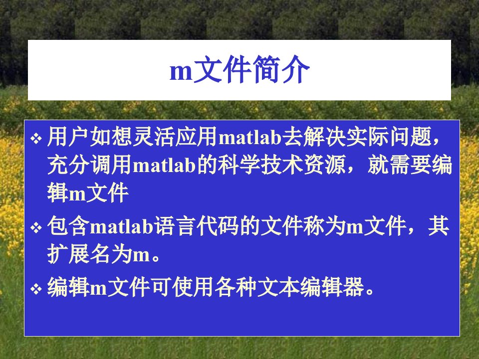 第六章matlab的m文件和函数句柄课件