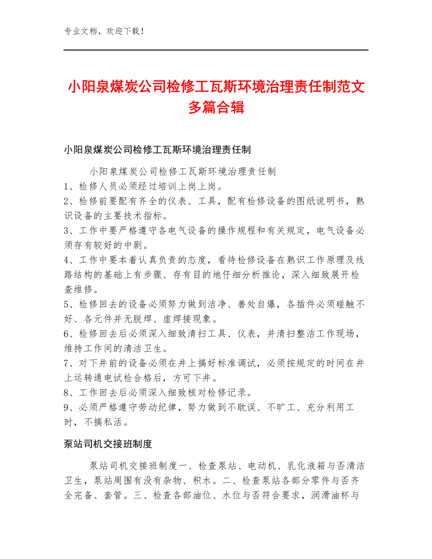 小阳泉煤炭公司检修工瓦斯环境治理责任制范文多篇合辑