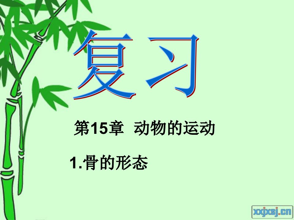 期末生物复习ppt课件