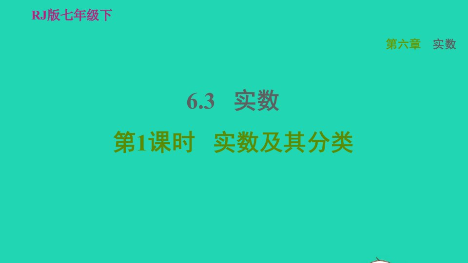 2022春七年级数学下册第六章实数6.3实数第1课时实数及其分类习题课件新版新人教版