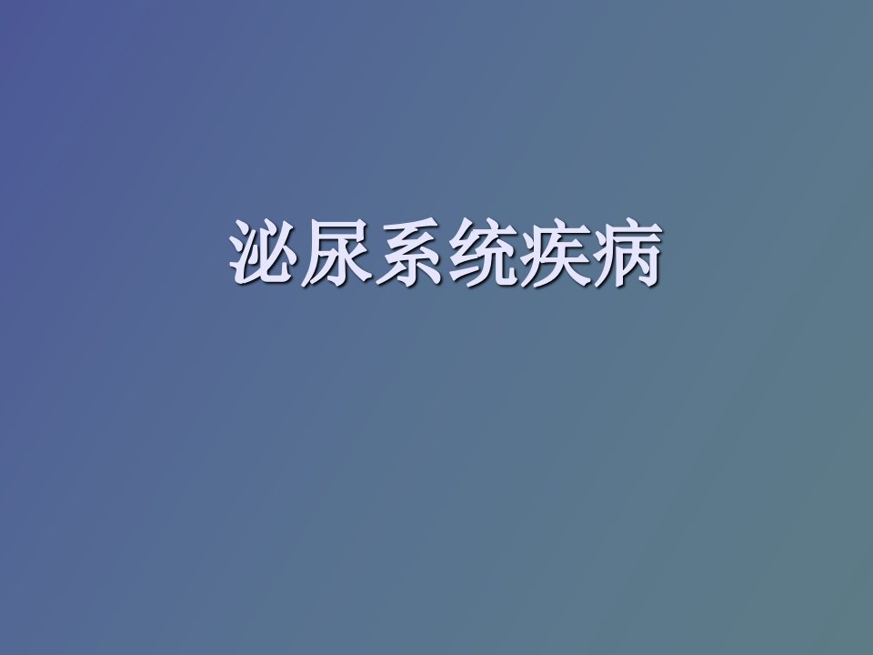 泌尿系统检查