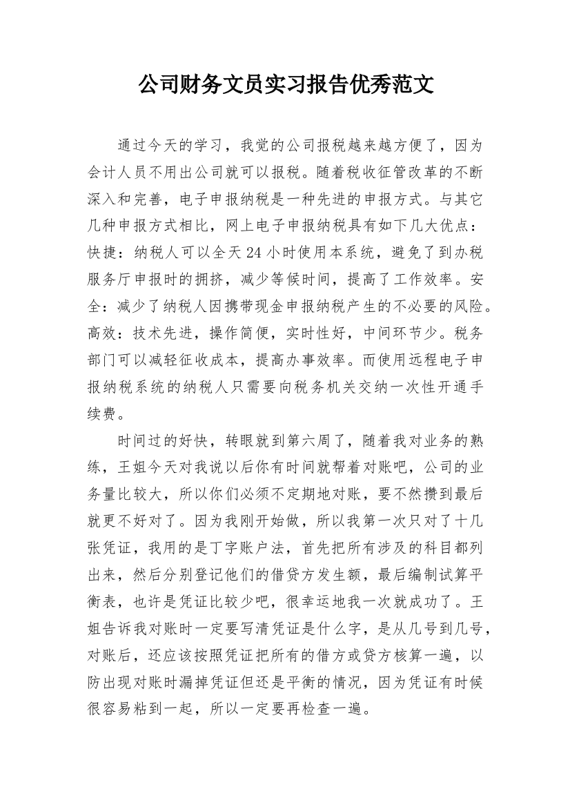 公司财务文员实习报告优秀范文