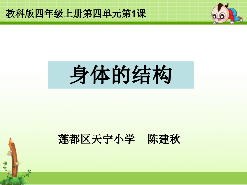 教科版四年级科学上册课件：四1身体的结构陈建秋