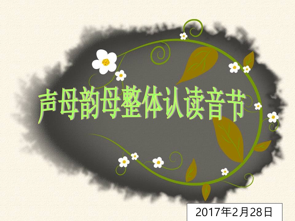 声母韵母整体认读音节复习