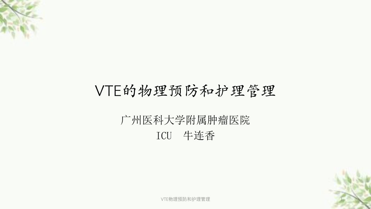 VTE物理预防和护理管理ppt课件